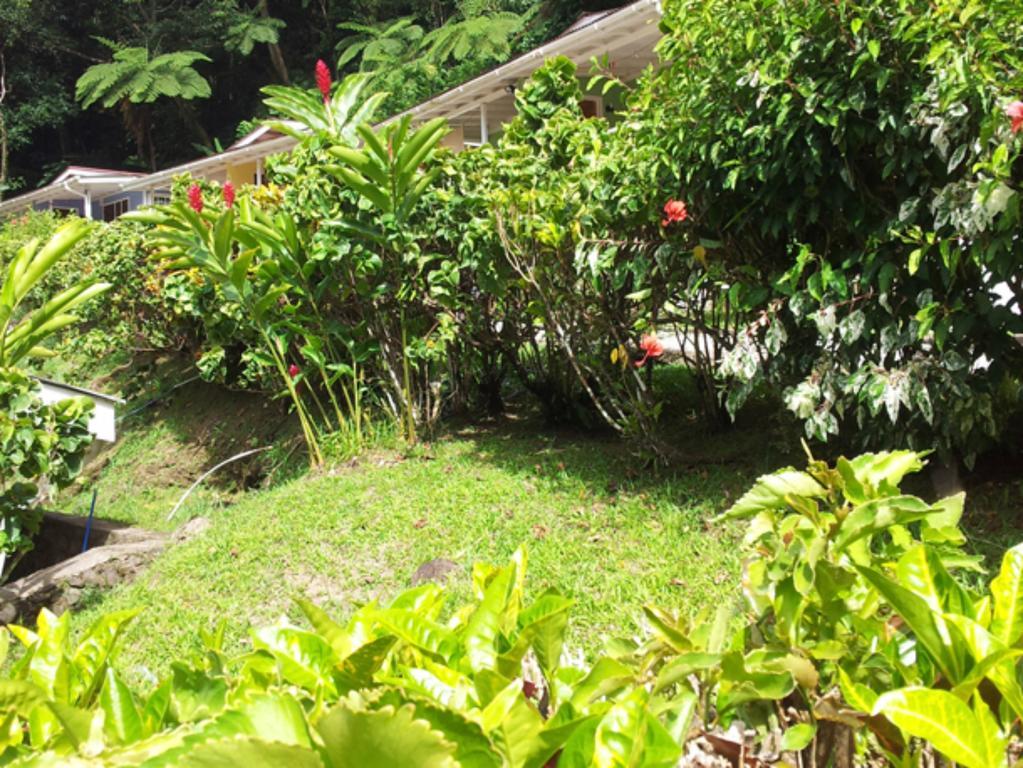 Chez Ophelia Cottage Apartments 로조 객실 사진